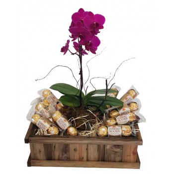 Cesta de Chocolates e Orquídea