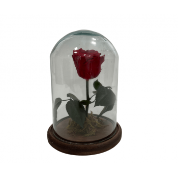 Rosa Encantada Vermelha