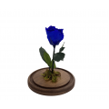 Rosa Encantada
