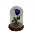 Rosa Encantada